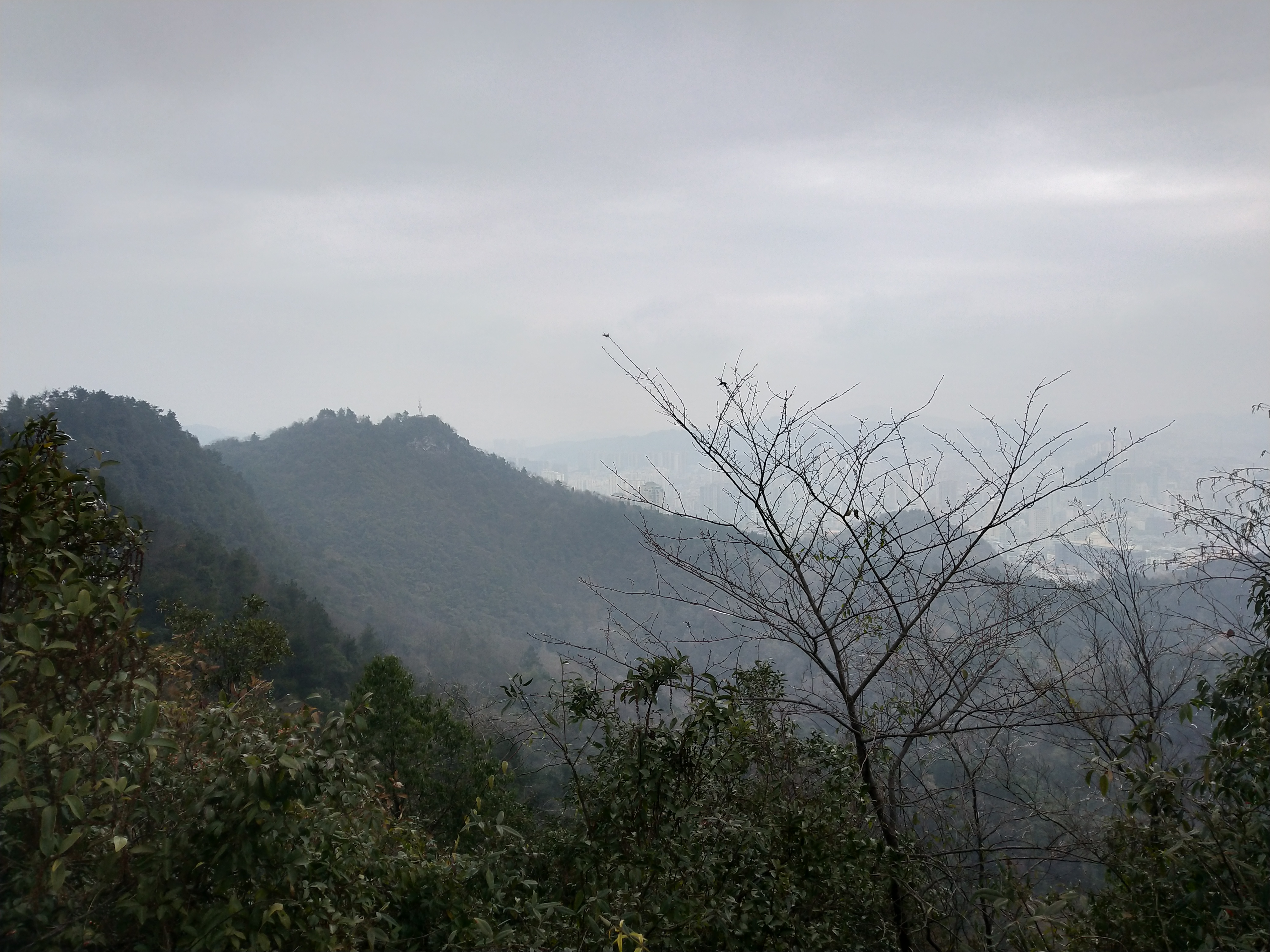微游贵阳:深度玩透黔灵公园之自然风景