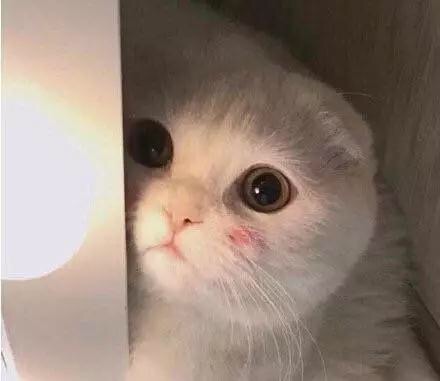 地狱空荡荡魔鬼在人间什么意思,地狱空荡荡魔鬼在人间出自哪里