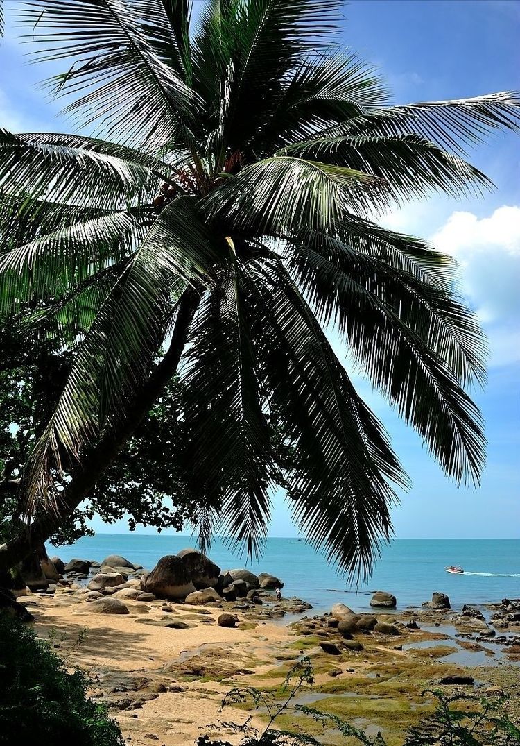 三亚海边人像摄影作品欣赏,世界旅游摄影作品欣赏