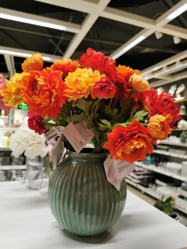 不同的城市住在一起的感受,什么样的城市才有宜家家居