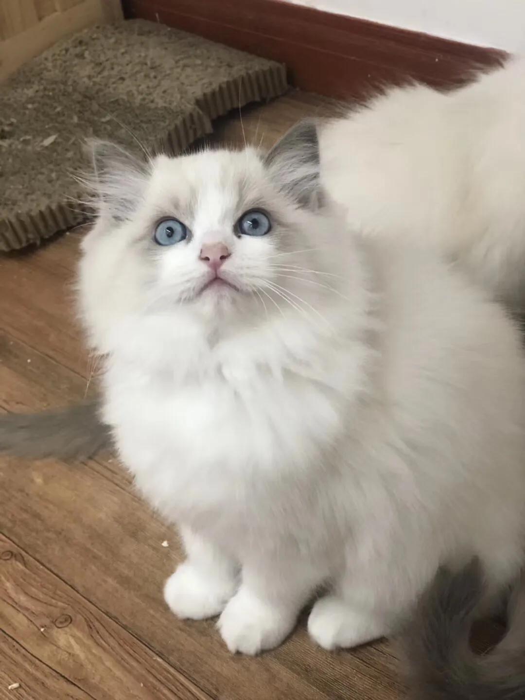 如果价格一样你会选择哪个,如果价格能决定一切