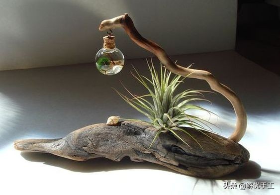 如何处理枯树枝和落叶,如何处理枯树枝图解