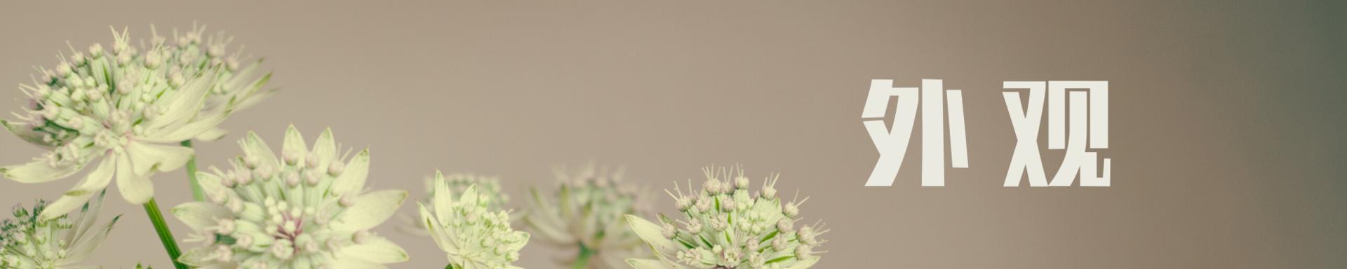 省电石墨烯取暖器油汀,油汀取暖器家用超级节能省电