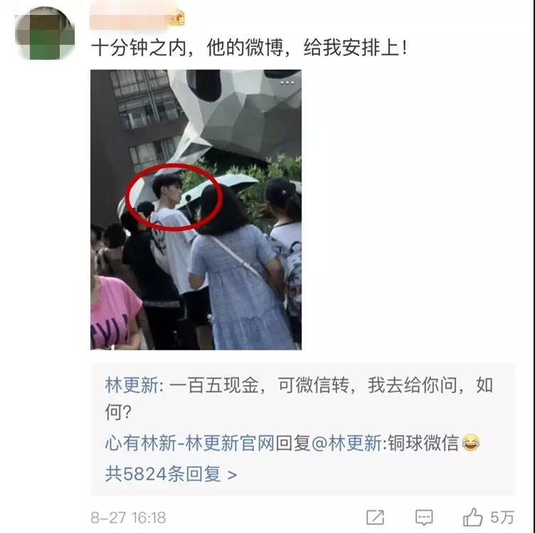 林更新配图闭嘴吧狗,林更新赵丽颖采访闭嘴