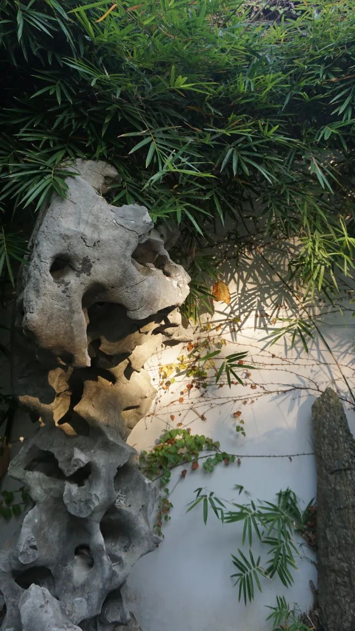 上海启庐太湖启园,太湖启园门票最新消息