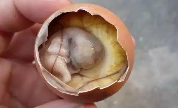 恐怖10道奇葩美食,奇葩恐怖食物