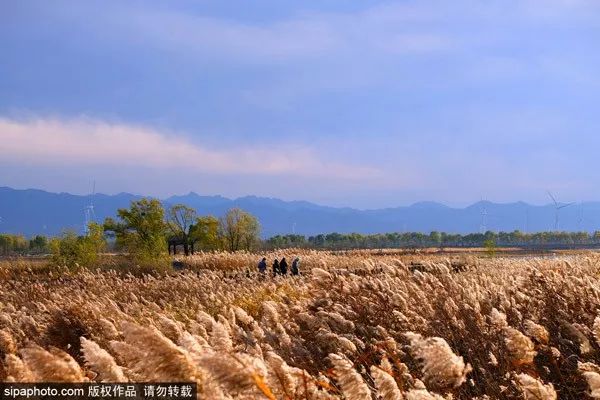 再不去玩就晚了！北京秋游倒计时！爬​山、赏叶、观鸟…随便您怎么嗨！