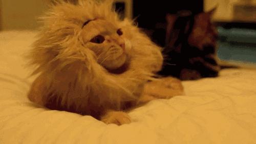 拒绝精神恍惚，早晨5分钟仪式一定要记得