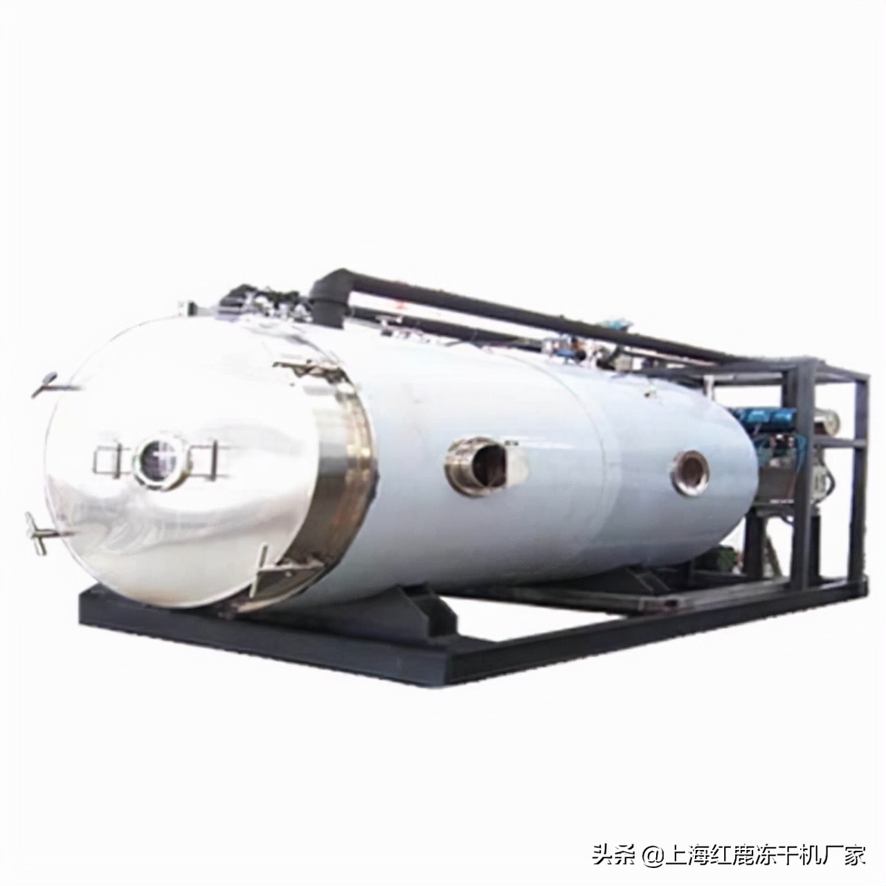 自制宠物冻干鸡肉怎么做的,鸡肉冻干的制作方法狗狗