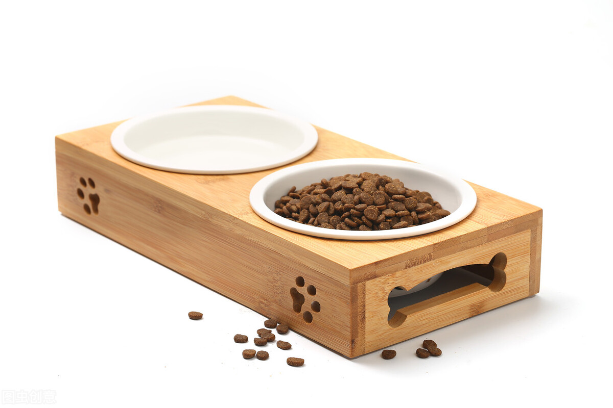 新手怎么养2个月多小奶猫,如何喂养一个月的小奶猫