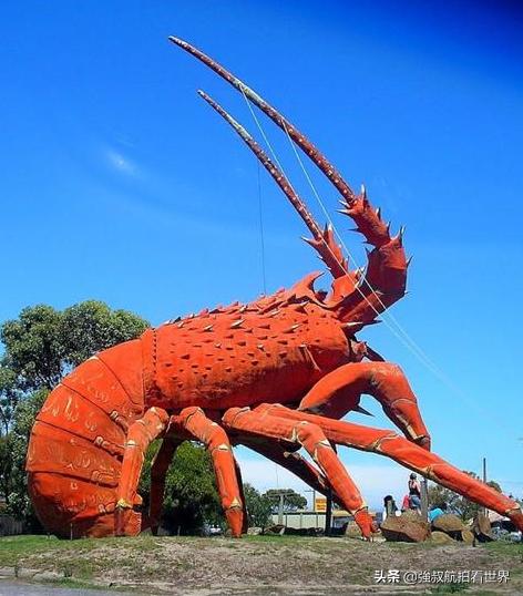 去南澳州旅游怎么样,去南澳旅游要不要做攻略