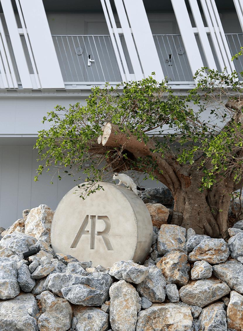 去日本旅游最好去哪个酒店,去日本旅游适合住哪些酒店