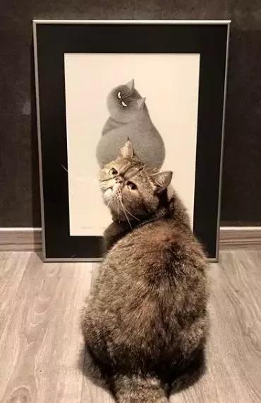 她用2元针管笔作画便惊艳了世界,他用粉笔画了一只猫