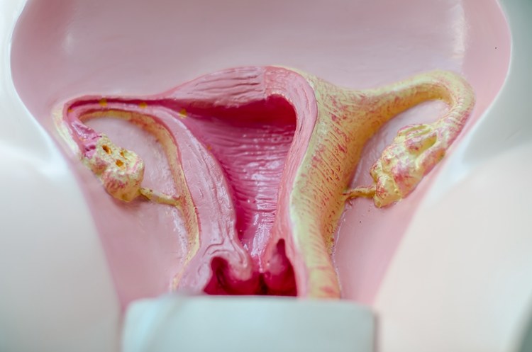 36岁卵巢功能减退到早衰有几年,45女人卵巢早衰还需要调理