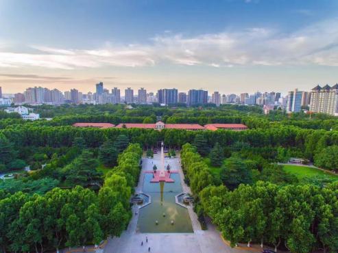 世界卫生组织治疗肿瘤的新方法,治疗肿瘤的最新研究进展