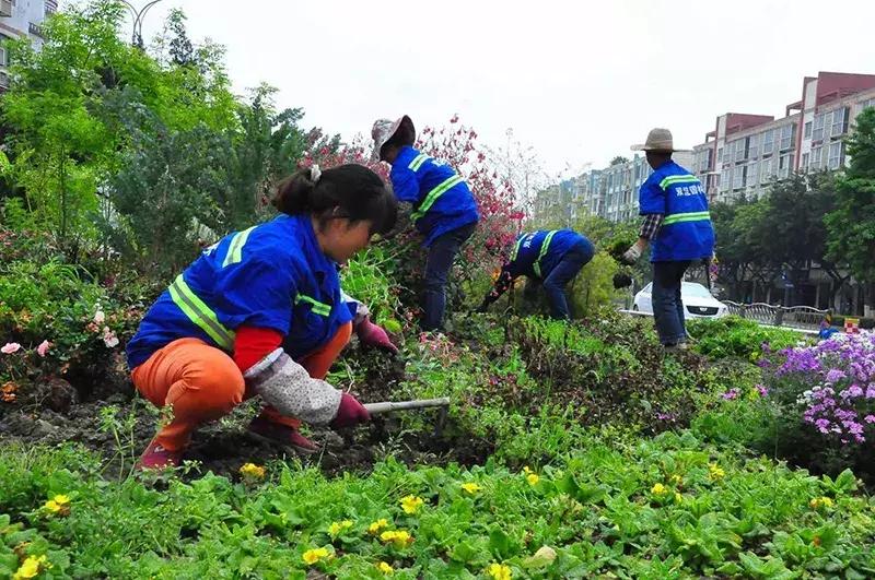 双流区绿化景观,双流县景观花园设计