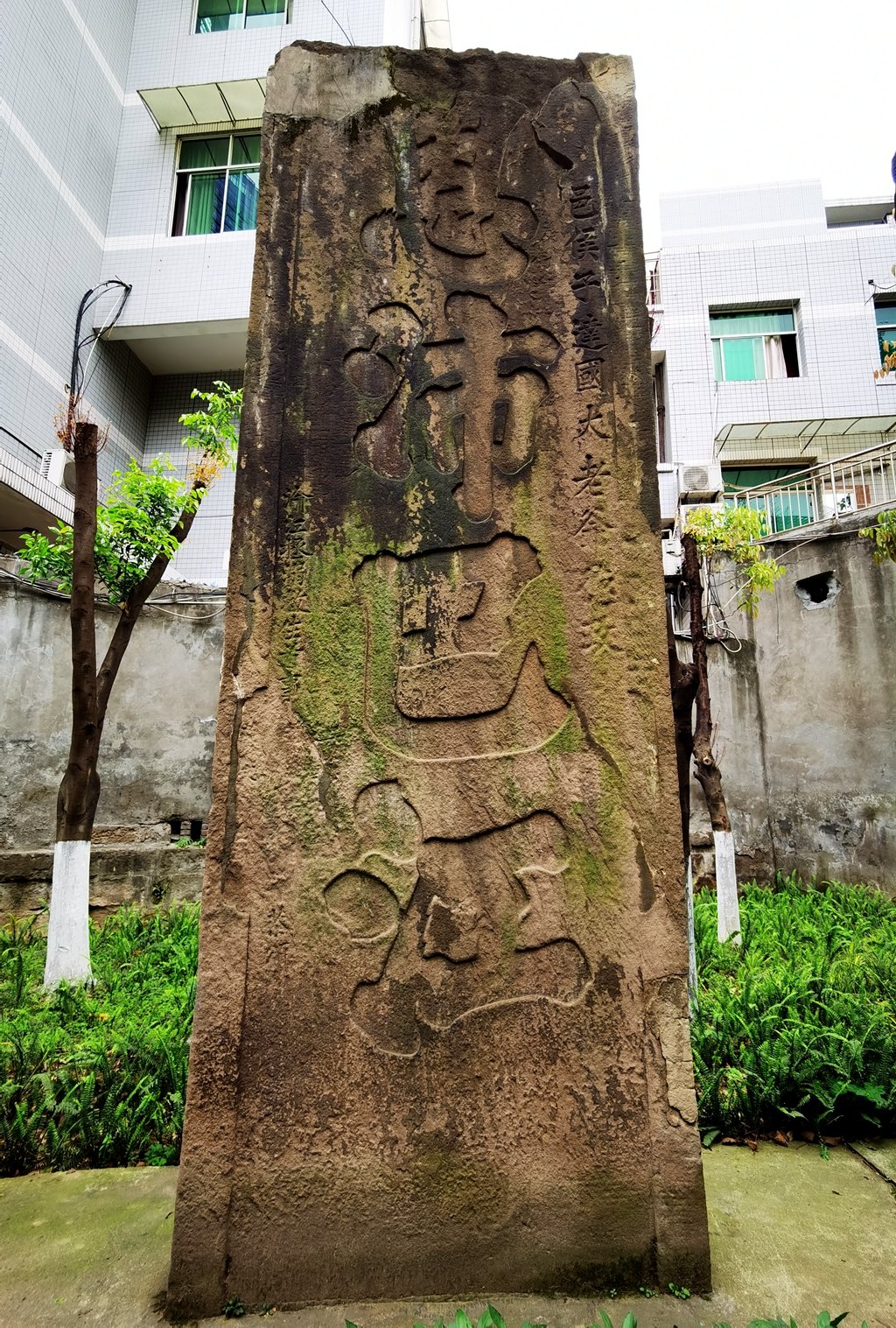 大坪：19块巨碑藏孤岛