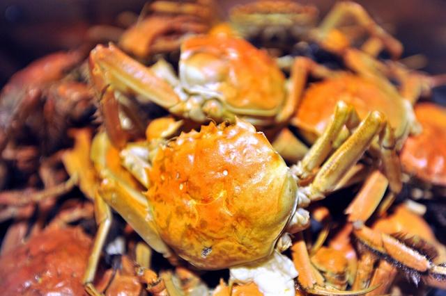 43岁开始蛋白质过敏体质怎么调理,过敏体质怎样调理好得快