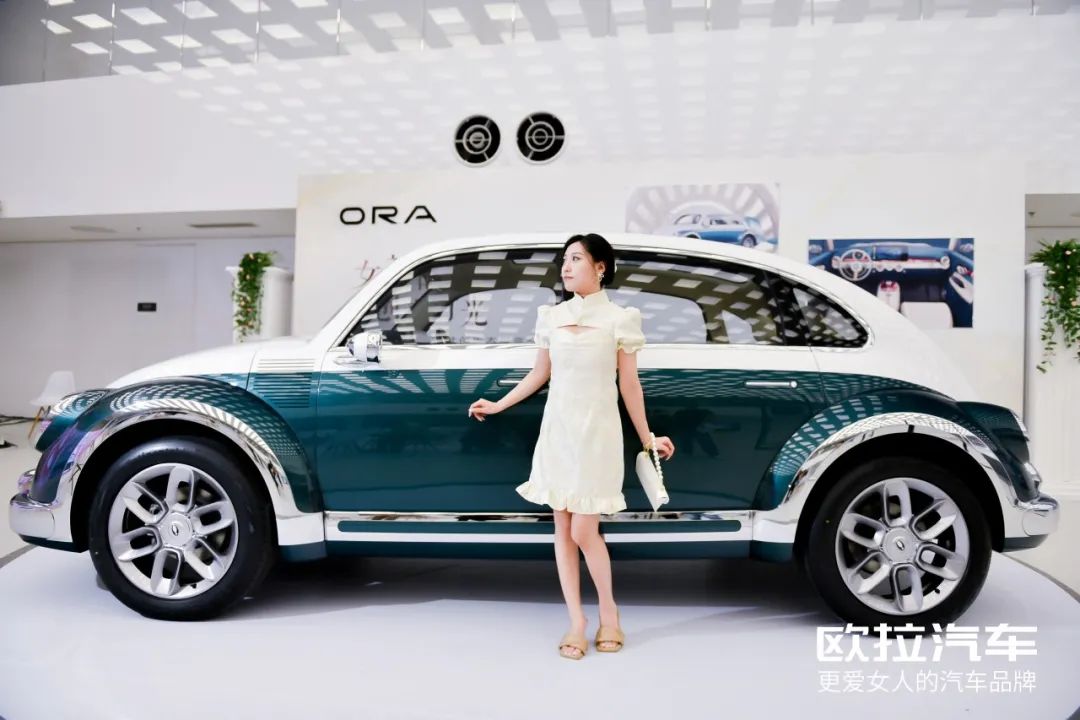 爱自己的女人都懂了有一种潮流叫朋克猫