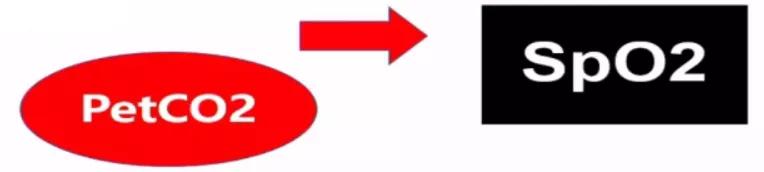 李娟教授：呼气末二氧化碳分压监测的临床应用