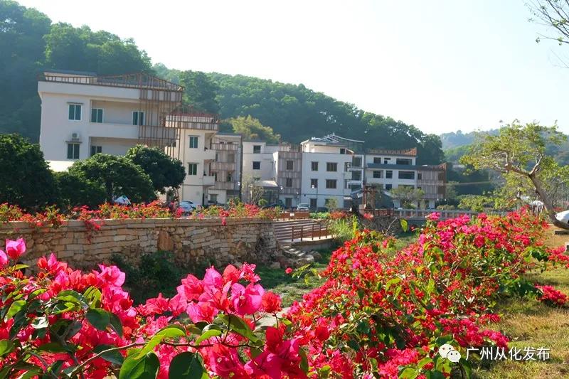 执一事，终一生！走进从化“木匠村”，看老匠人如何练就“绣花功夫”