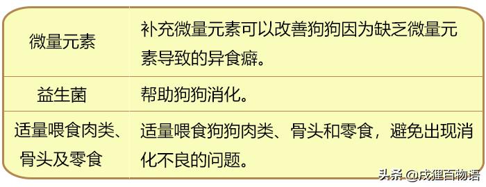 狗狗生病应该吃什么药最好,狗狗生病了不打算治了