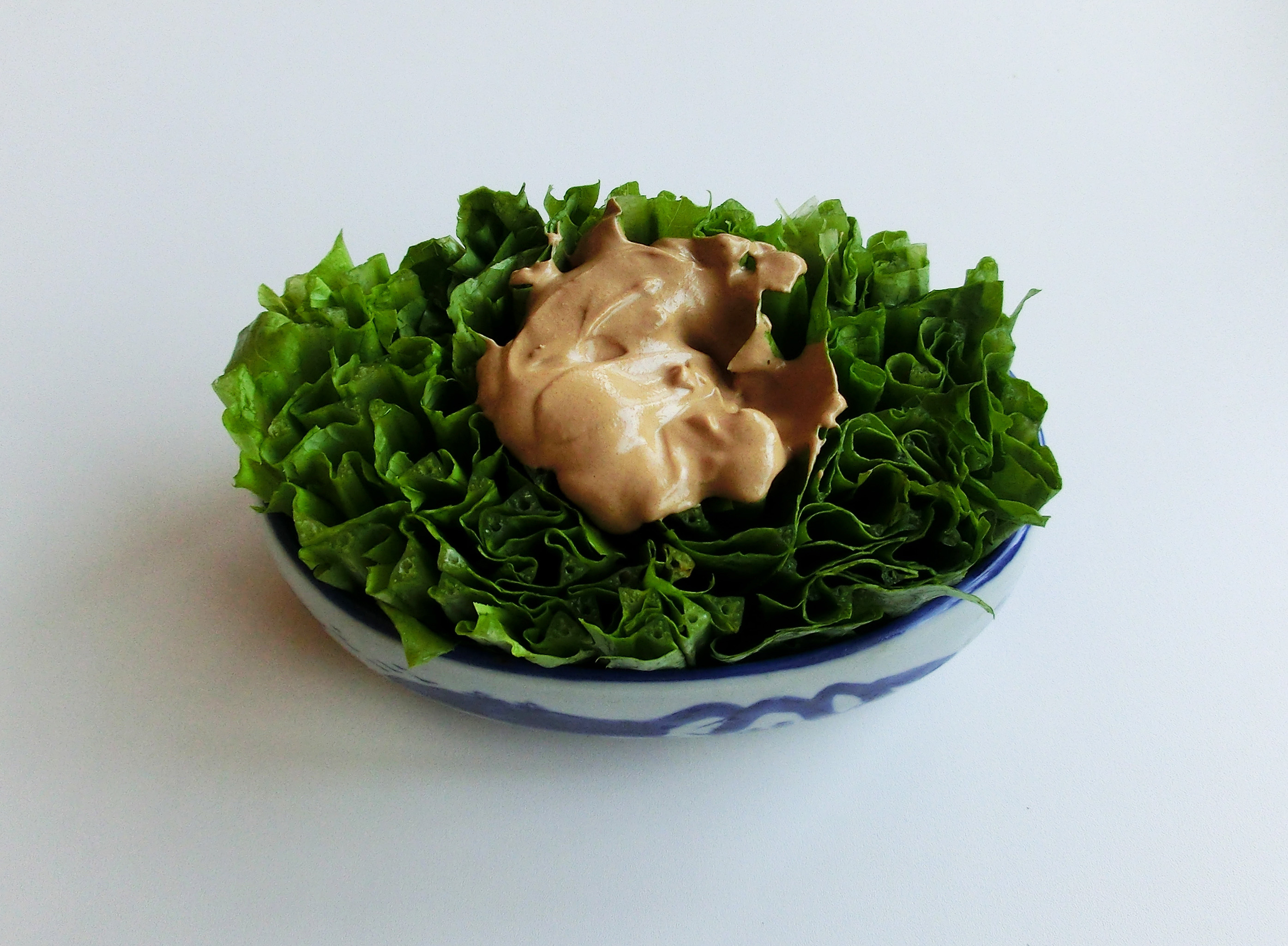 夏季上火吃些什么菜,老人冬季上火了吃什么降火最快