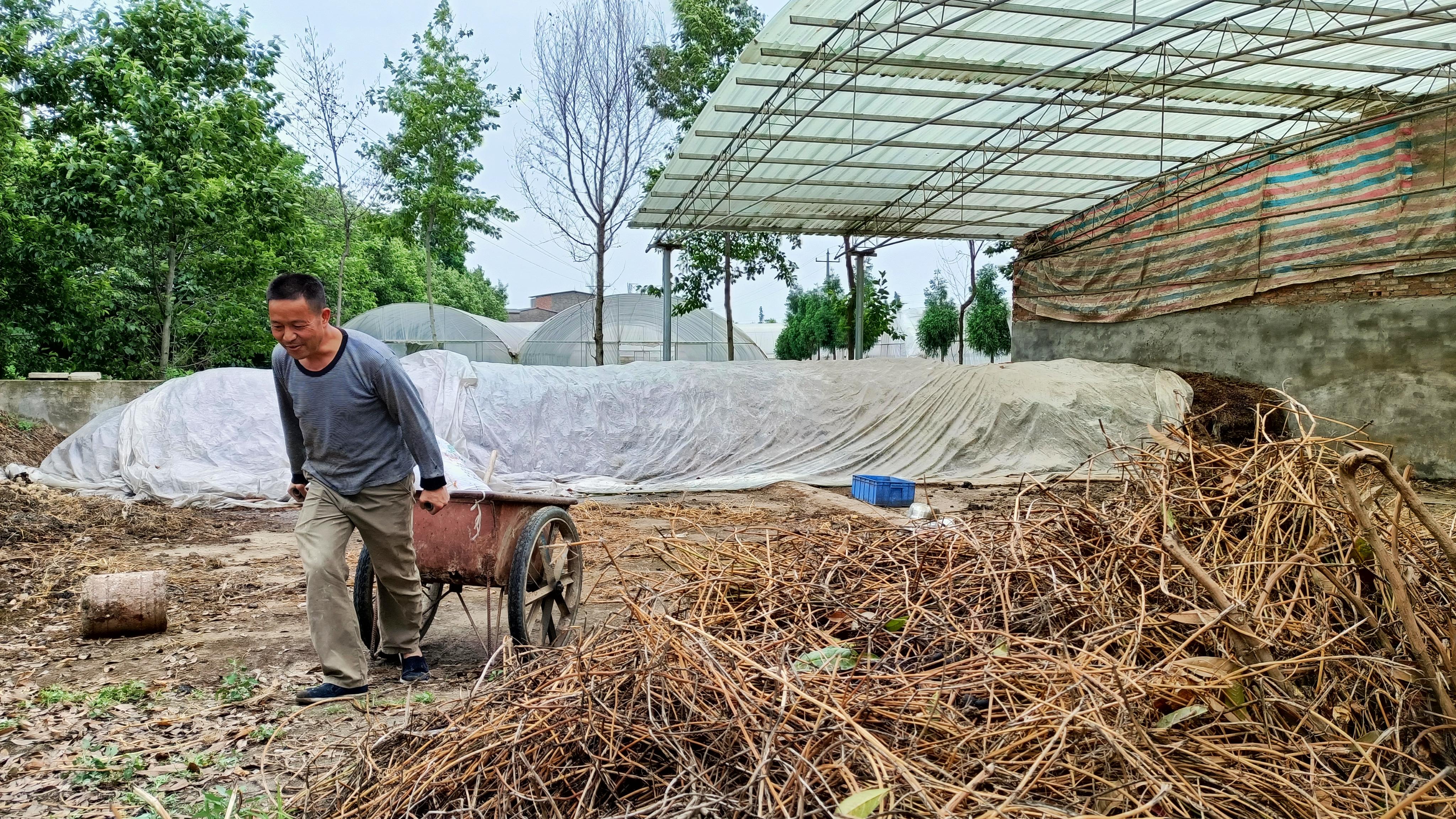 蔬菜酵素发酵技术,水果发酵的酵素对农作物有什么用