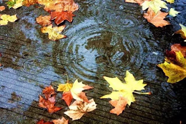 西法大青春力量,西法大