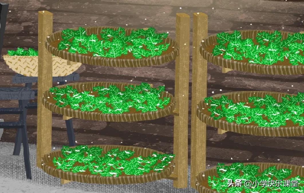 小学生优秀作文书本,小学生作文螃蟹的美味