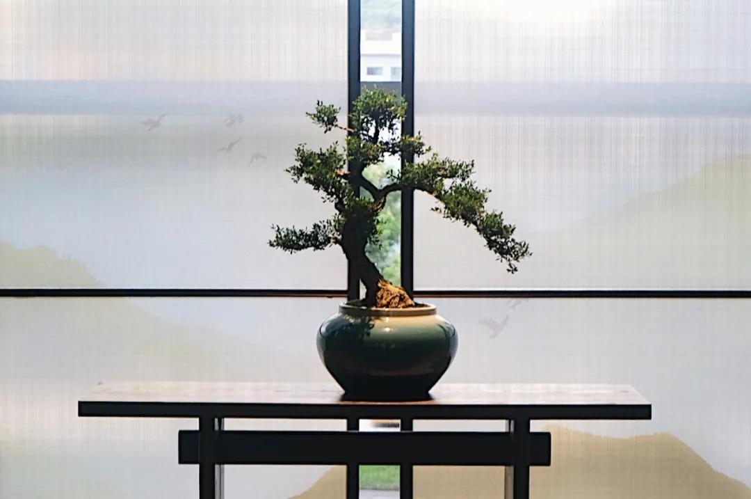 希尔顿逸林增城,希尔顿逸林五爱街