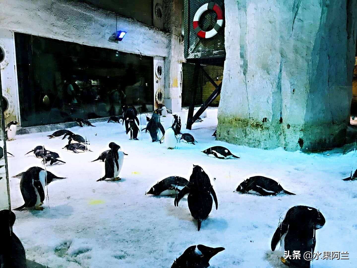 大连旅游团4天三晚,大连4天3晚跟团自由行