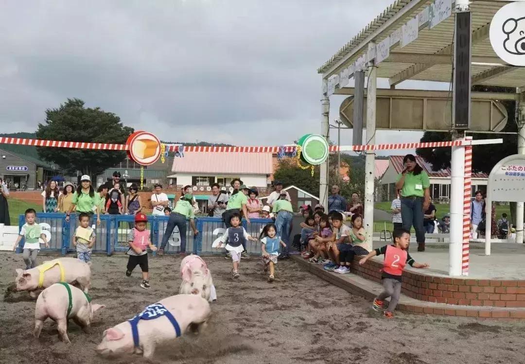 日本农场营收10亿经营秘诀,日本妈妈牧场怎么运营