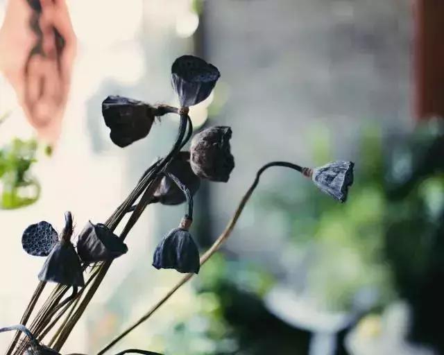 冬天手脚冷适合喝什么茶,冬天手脚冰凉适合什么茶