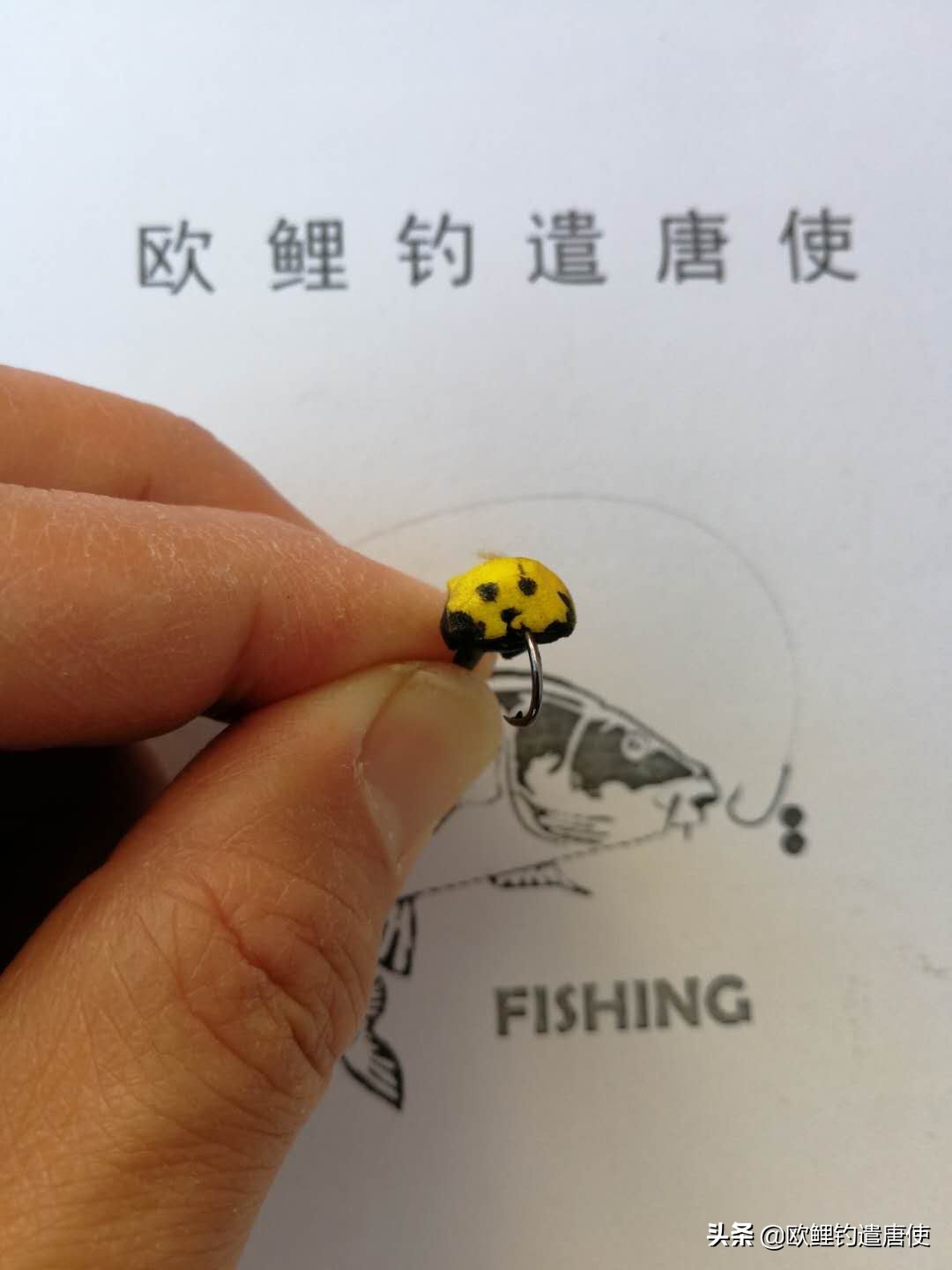 欧鲤钓组单柄鱼钩绑法,欧鲤钓组挂浮珠还是挂玉米