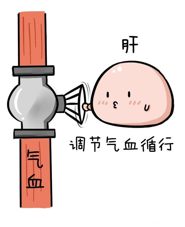 慢性前列腺炎影响肝吗,前列腺炎能用舒肝解郁胶囊吗