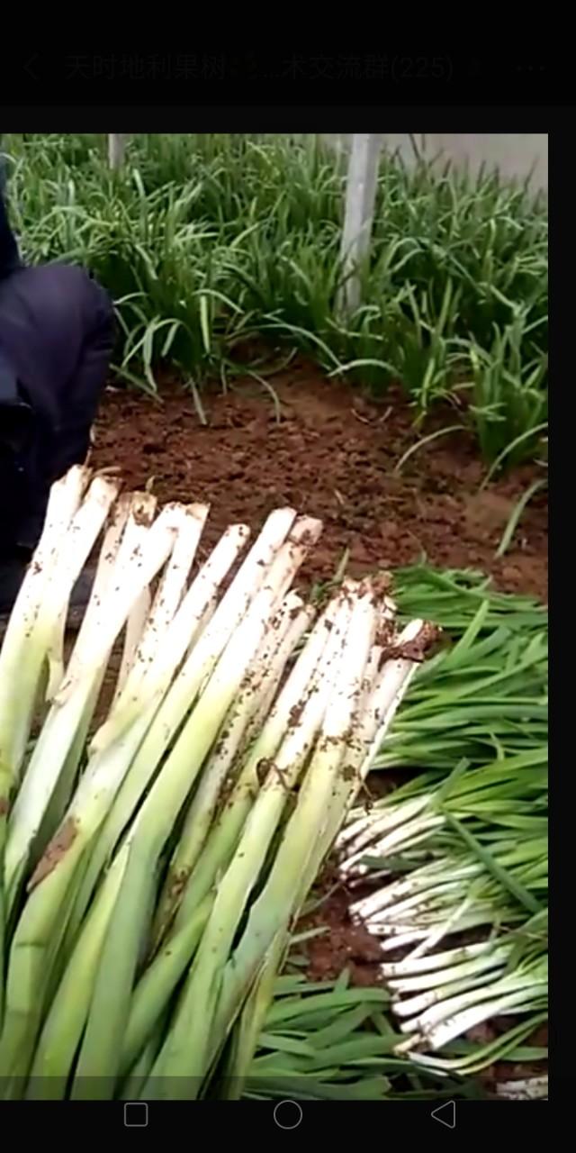 清水县特色美食,清水县美食攻略