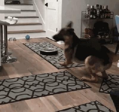 智能扫地机器人好不好主要看什么,智能家用扫地机器人好不好啊