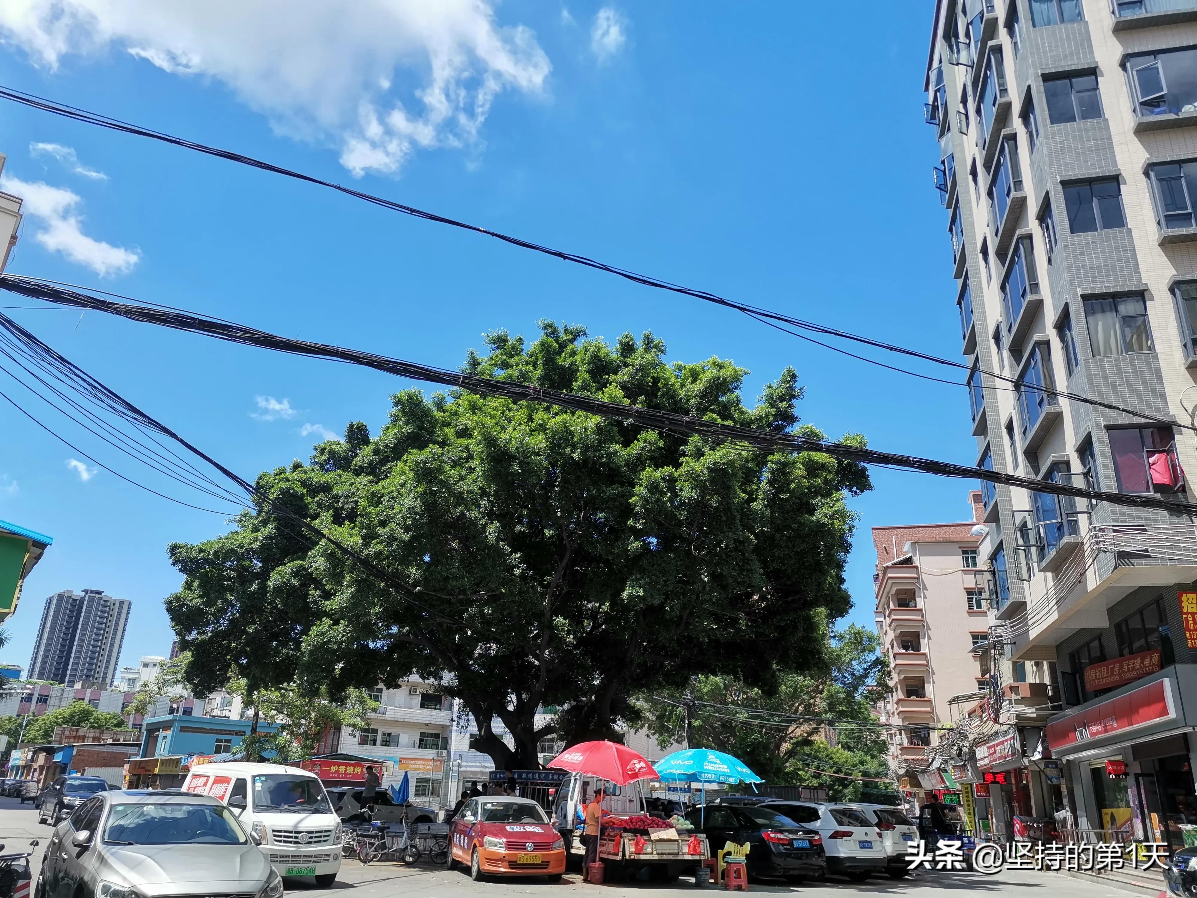 东莞32个镇街,东莞32个镇街发展如何