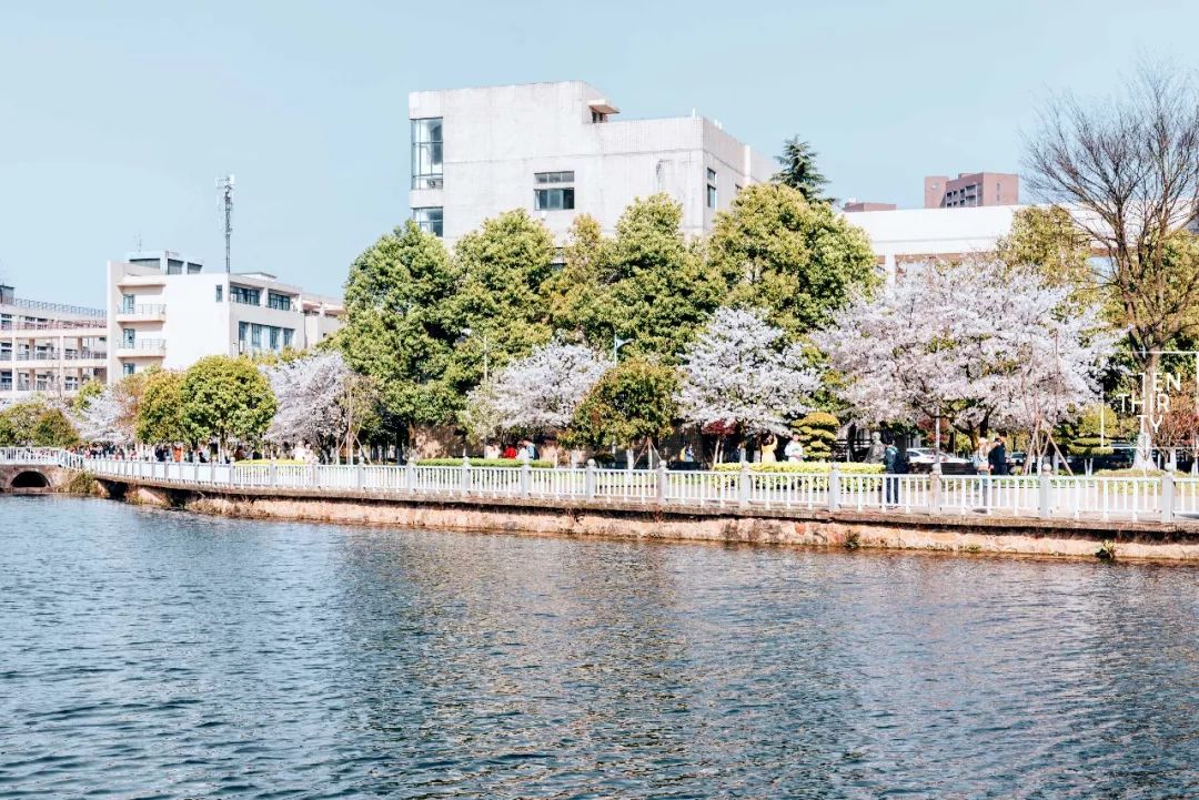 湖北经济学院为什么叫藏龙岛,湖北经济学院在江夏藏龙岛吗