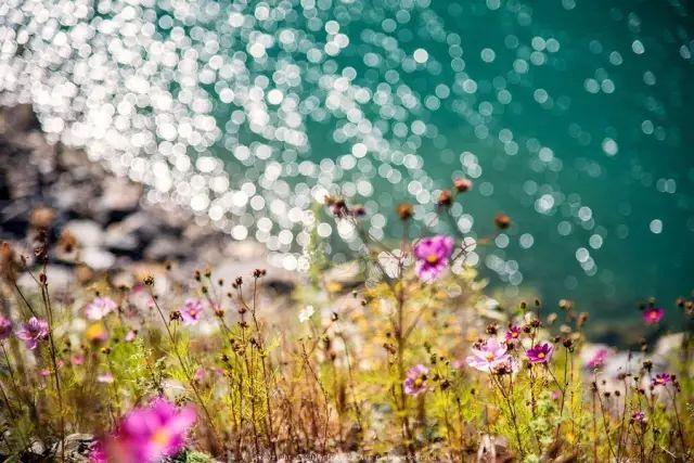 九寨沟精致小众,九寨沟风景不输瑞士