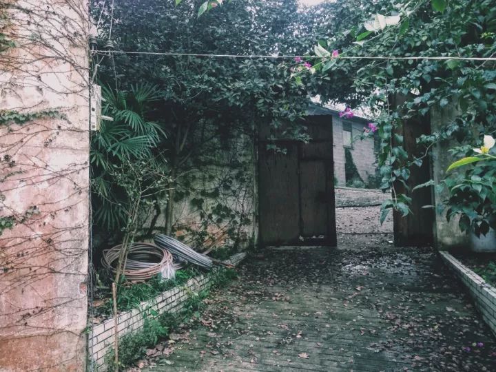 重庆南山区天空之城,重庆南山有天空之城吗