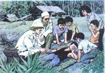 令人印象深刻的小学语文,不同年代的小学课文插图