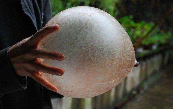 足球基本阵型与基本战术,足球战术历史与演变