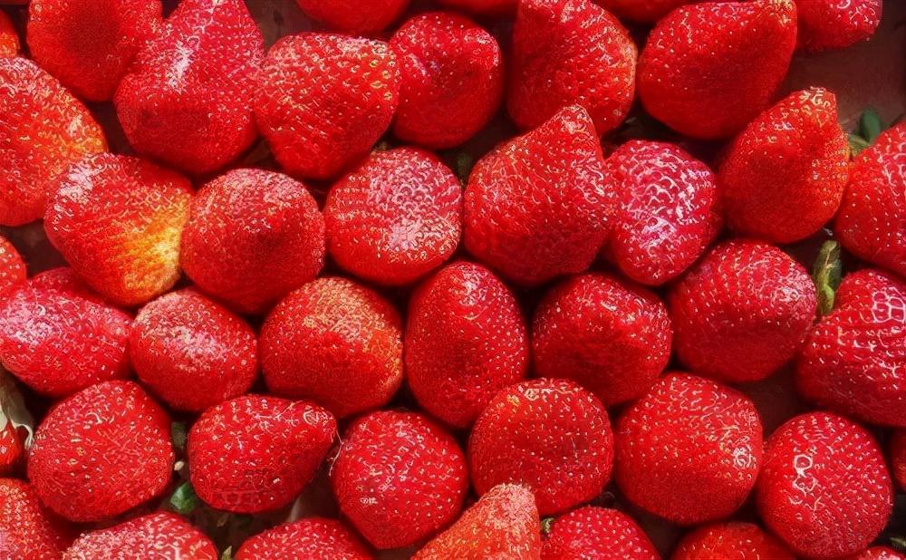 “万物皆可烘干”,草莓干是怎么做出来的,来看热泵草莓干烘干工艺