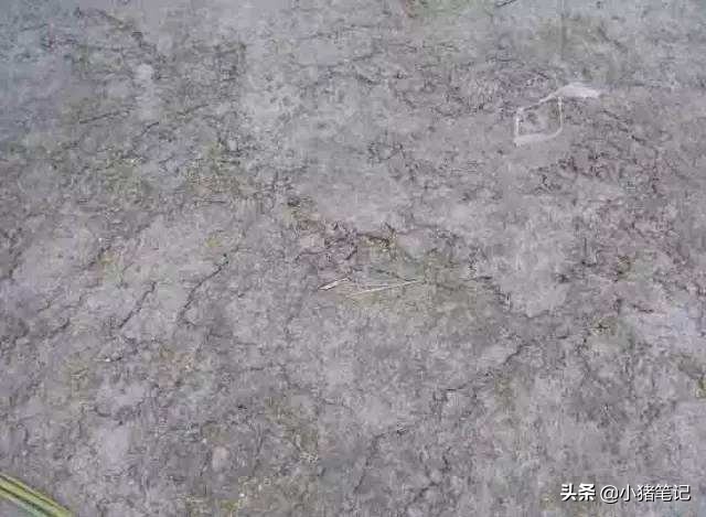 混凝土露筋怎么处理,混凝土露筋什么原因引起的