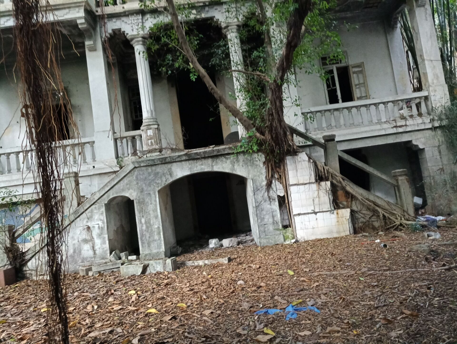 厦门虎园路富豪楼,厦门虎园路私宅