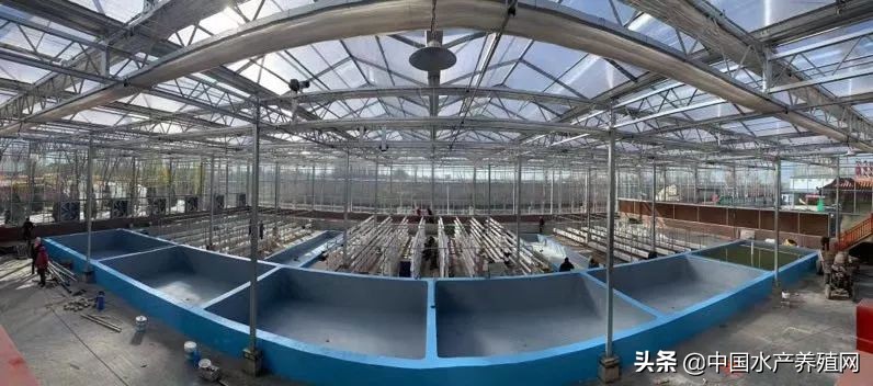 节水节电绿色低碳,节水节电低碳减排