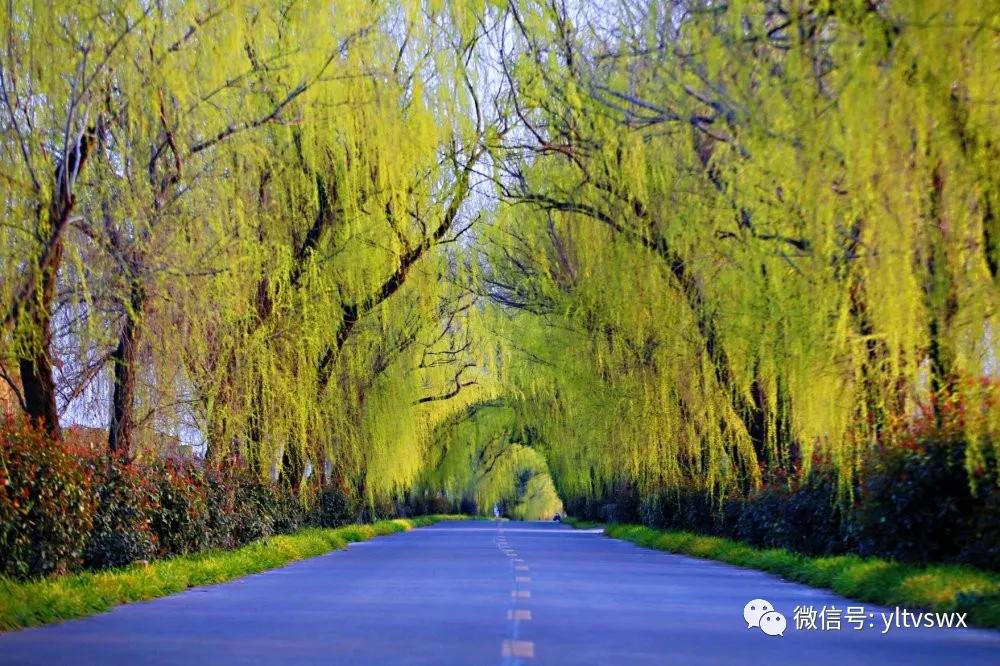 杨凌现状,杨凌最新照片