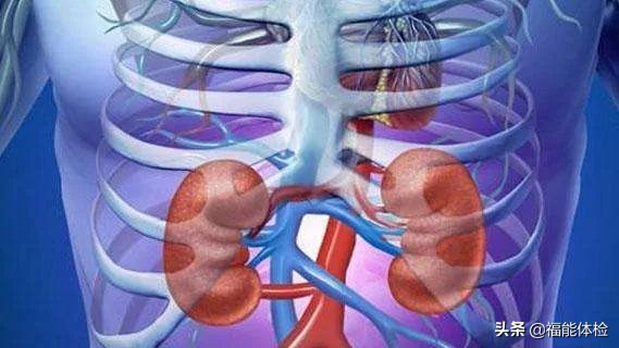 体检发现肾囊肿不要怕,体检肾囊肿要注意什么